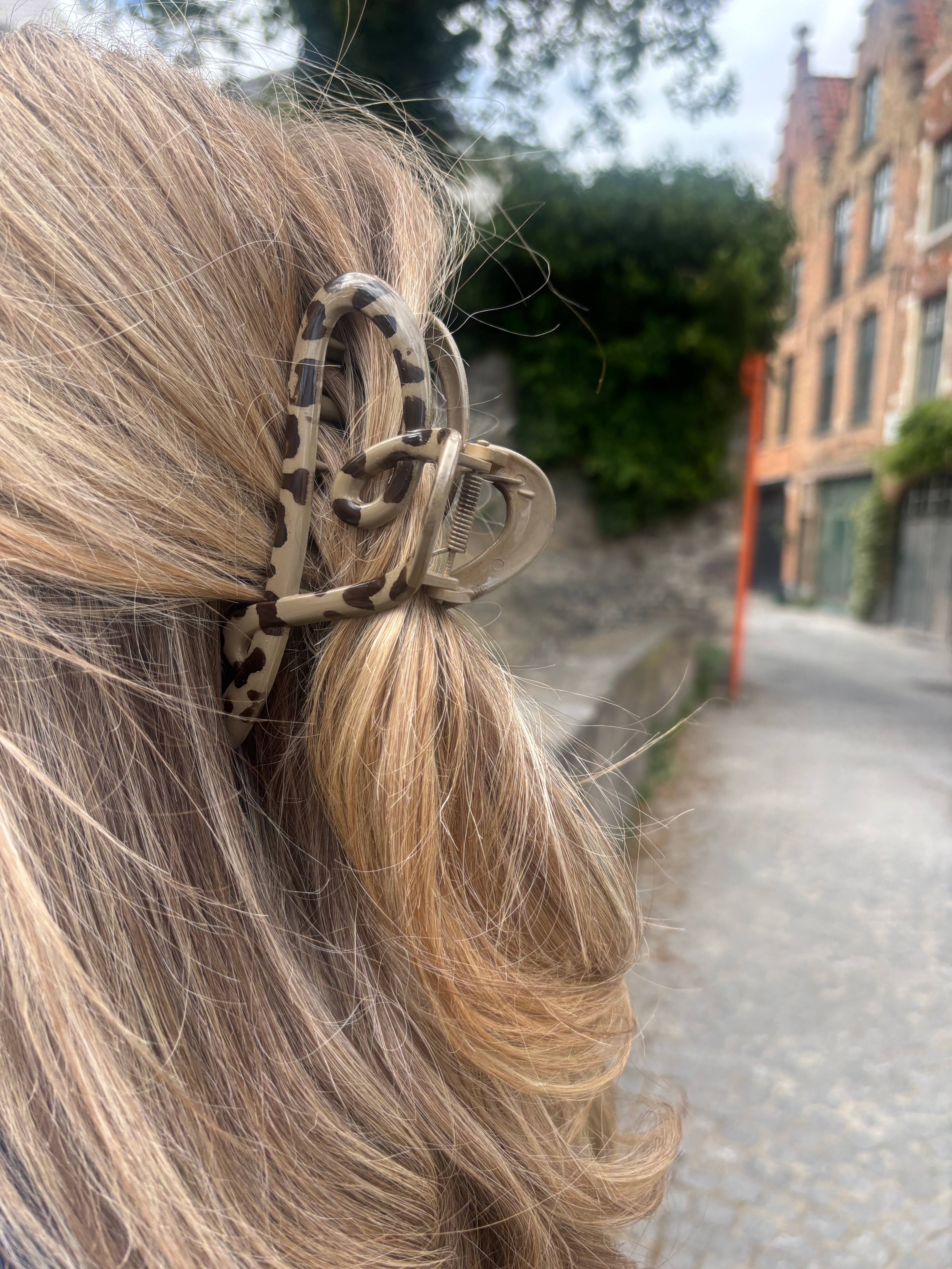 Wild Heart Clip